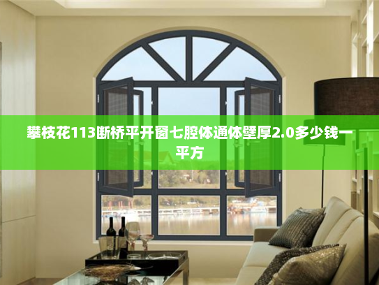 攀枝花113断桥平开窗七腔体通体壁厚2.0多少钱一平方
