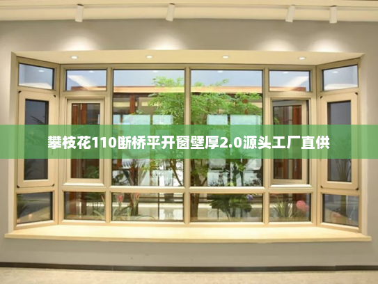攀枝花110断桥平开窗壁厚2.0源头工厂直供