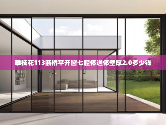 攀枝花113断桥平开窗七腔体通体壁厚2.0多少钱