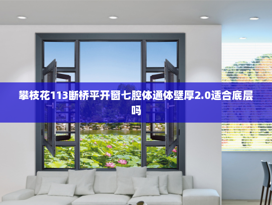 攀枝花113断桥平开窗七腔体通体壁厚2.0适合底层吗